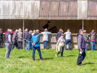 NH030523-35 - Nicky Henderson Stable Visit